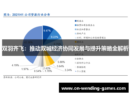 双羽齐飞：推动双城经济协同发展与提升策略全解析