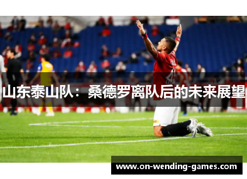 山东泰山队：桑德罗离队后的未来展望