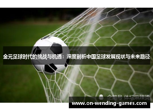 金元足球时代的挑战与机遇：深度剖析中国足球发展现状与未来路径