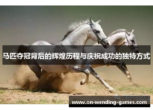 马匹夺冠背后的辉煌历程与庆祝成功的独特方式