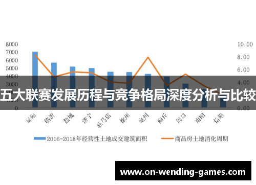 五大联赛发展历程与竞争格局深度分析与比较